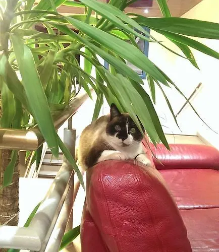 Le Relais De Thiais 2* Aulnay-sous-Bois